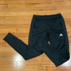 Adidias CLIMACOOL trek pants size Small